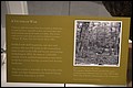 DSC_0015.JPG