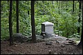 DSC_0040.JPG