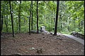 DSC_0041.JPG