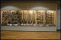 DSC_0096.JPG