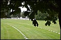 DSC_0137.JPG