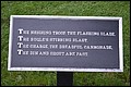 DSC_0145.JPG