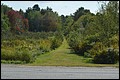 DSC_0156.JPG
