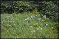 DSC_0162.JPG