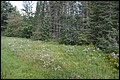 DSC_0163.JPG