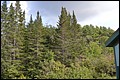 DSC_0173.JPG
