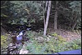 DSC_0175.JPG