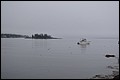 DSC_0198.JPG