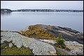DSC_0201.JPG