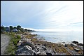 DSC_0208.JPG