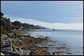 DSC_0209.JPG
