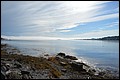 DSC_0210.JPG