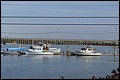 DSC_0211.JPG