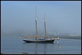 DSC_0213.JPG