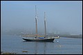 DSC_0214.JPG