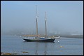 DSC_0215.JPG