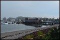 DSC_0216.JPG