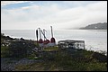 DSC_0217.JPG