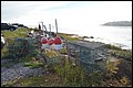 DSC_0218.JPG