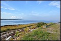 DSC_0219.JPG