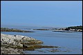 DSC_0226.JPG
