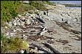 DSC_0228.JPG