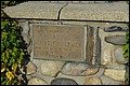DSC_0230.JPG