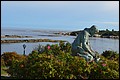 DSC_0232.JPG