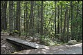 DSC_0233.JPG