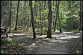 DSC_0234.JPG