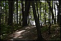 DSC_0236.JPG