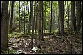 DSC_0237.JPG