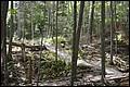 DSC_0239.JPG