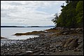 DSC_0240.JPG