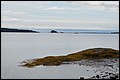 DSC_0241.JPG