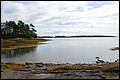 DSC_0242.JPG