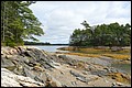 DSC_0243.JPG