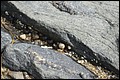 DSC_0244.JPG