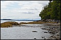 DSC_0246.JPG