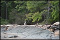 DSC_0247.JPG