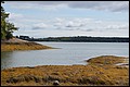 DSC_0251.JPG
