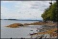 DSC_0254.JPG