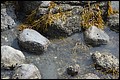 DSC_0255.JPG