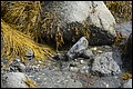 DSC_0256.JPG