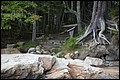 DSC_0257.JPG