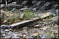 DSC_0258.JPG