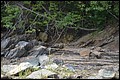 DSC_0259.JPG