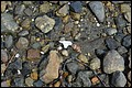 DSC_0260.JPG