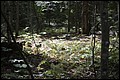 DSC_0261.JPG
