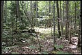 DSC_0262.JPG